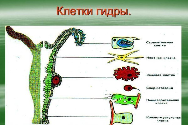 Кракен сайт наркотиков