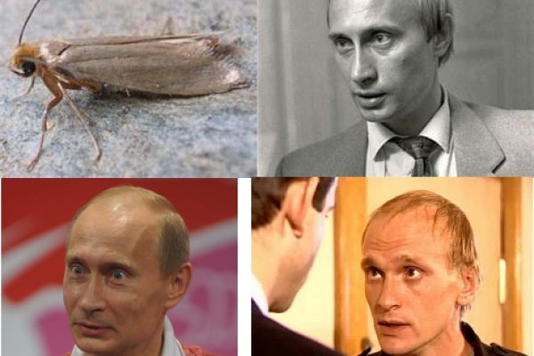 Как зайти на кракен через айфон