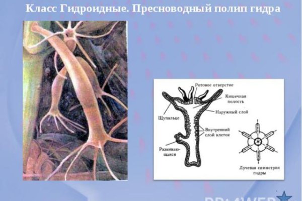 Восстановить аккаунт на кракене