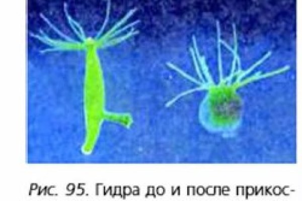 Кракен сайт продаж